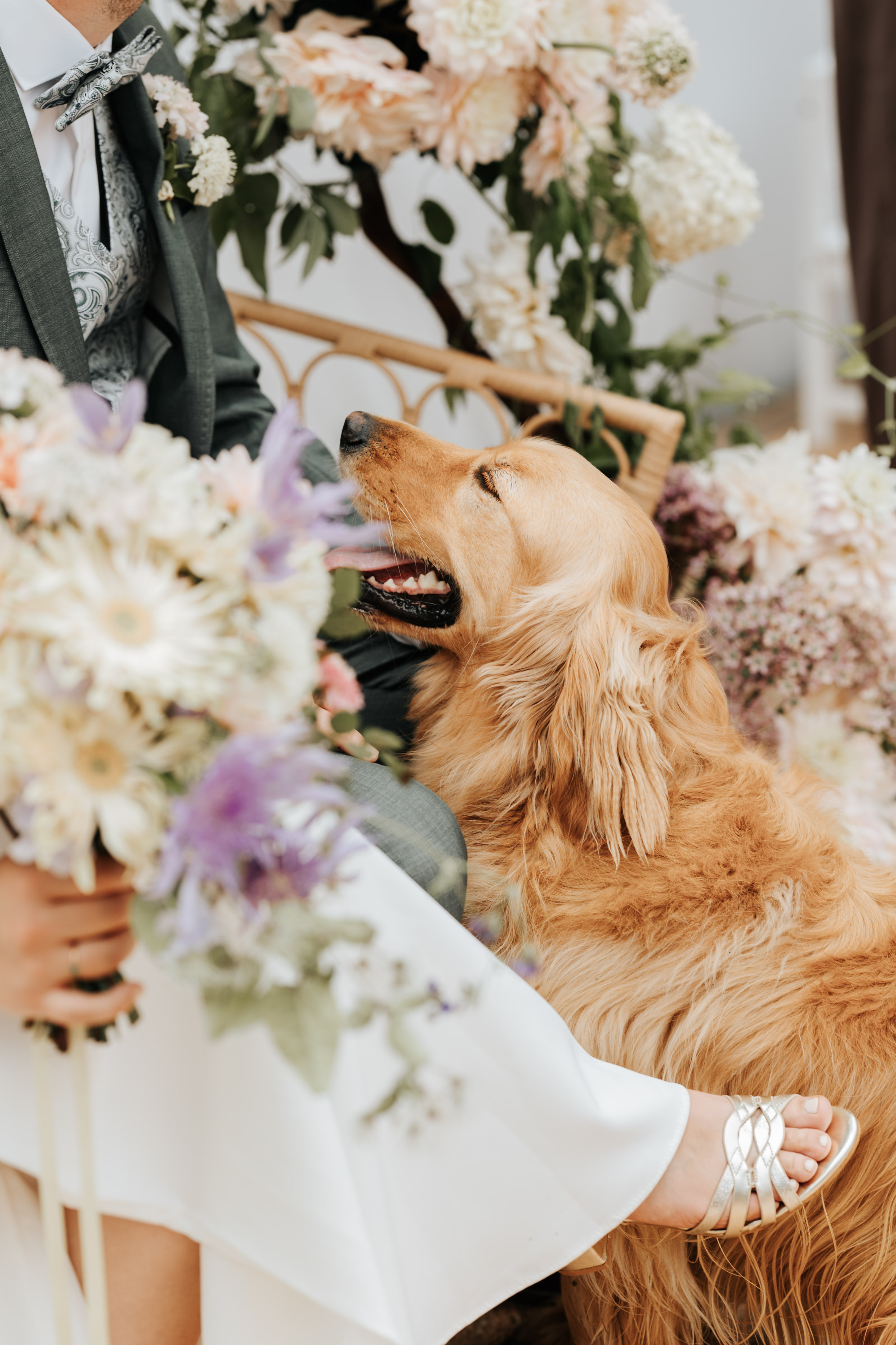Au mariage de L&M avec leur chien Albus